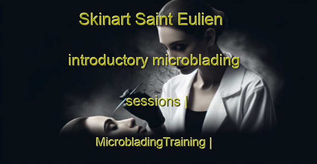 Skinart Saint Eulien introductory microblading sessions | MicrobladingTraining | MicrobladingClasses | SkinartTraining-France
